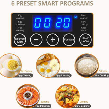 Electric Food Steamer